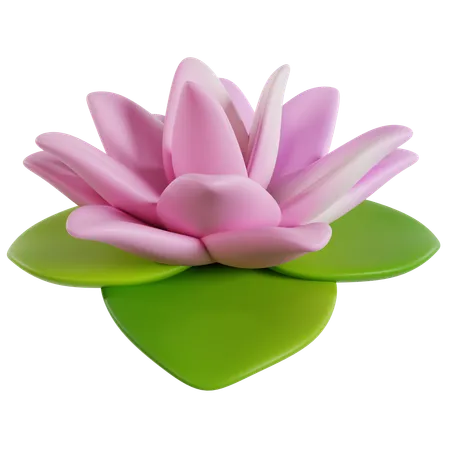 Célébration chinoise du lotus en fleurs  3D Icon