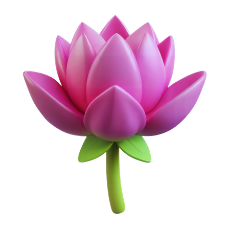 Lotus flower  3D Icon
