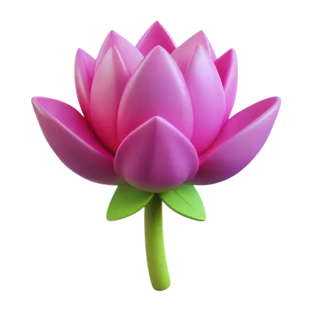 Lotus flower  3D Icon