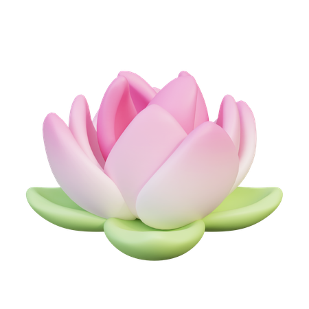 Lotus Flower  3D Icon