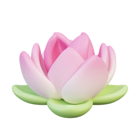 Lotus Flower  3D Icon