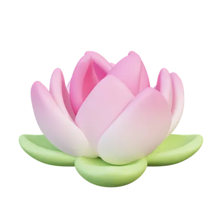 Lotus Flower  3D Icon