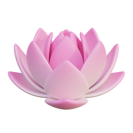 Lotus Flower  3D Icon