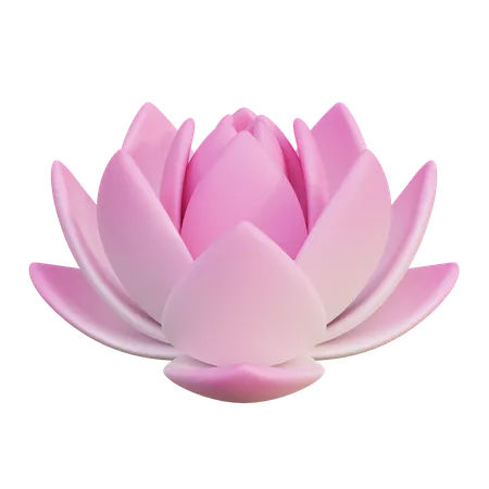 Lotus Flower  3D Icon