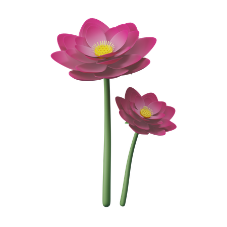 Lotus Flower  3D Icon