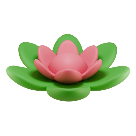 Lotus Flower  3D Icon