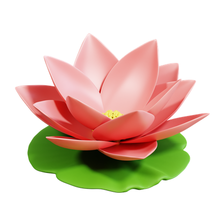 Lotus Flower  3D Icon