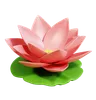 Lotus Flower