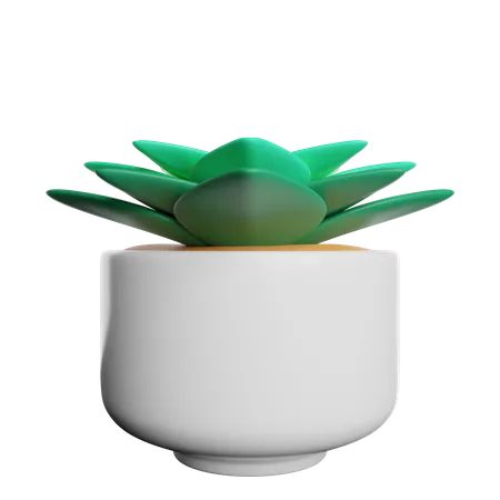 Lotus Flower Floral 3D Icon