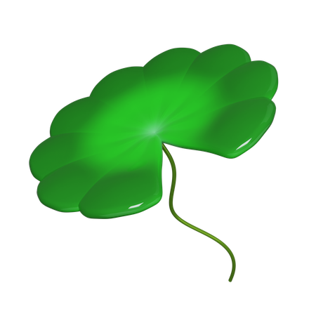 Lotus Leaf  3D Icon