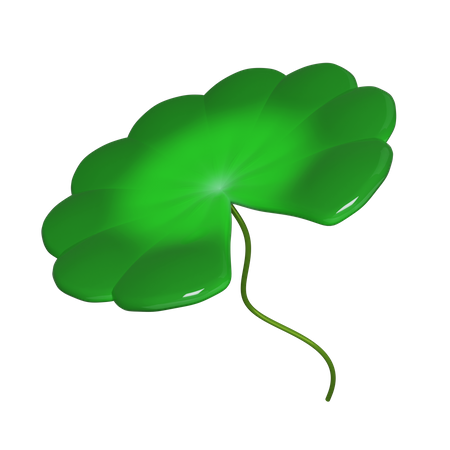 Lotus Leaf  3D Icon