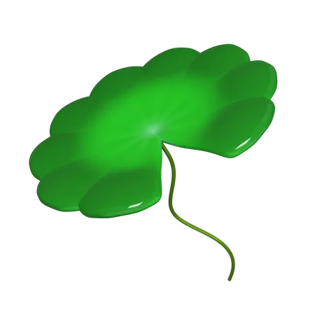 Lotus Leaf  3D Icon