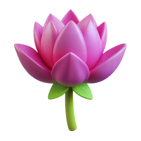 Lotus Blume  3D Icon