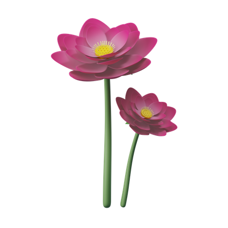 Lotus Blume  3D Icon