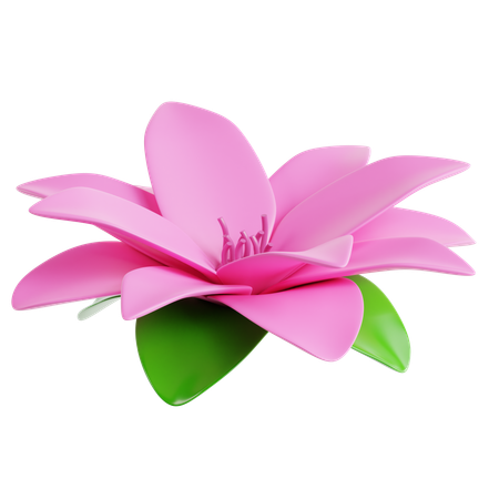 Lotus Blume  3D Icon