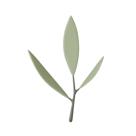 Plante et pierre lowpoly  3D Icon