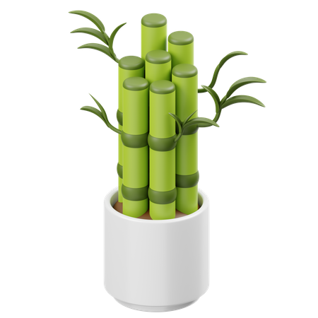 Lucky Bamboo  3D Icon