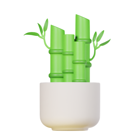 Lucky Bamboo Plant  3D Icon