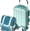 Luggage