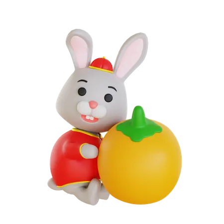 Lunar Rabbit Hug Chinese Orange  3D Illustration