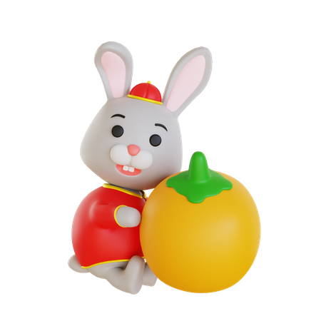 Lunar Rabbit Hug Chinese Orange  3D Illustration