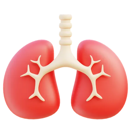 Lung  3D Icon