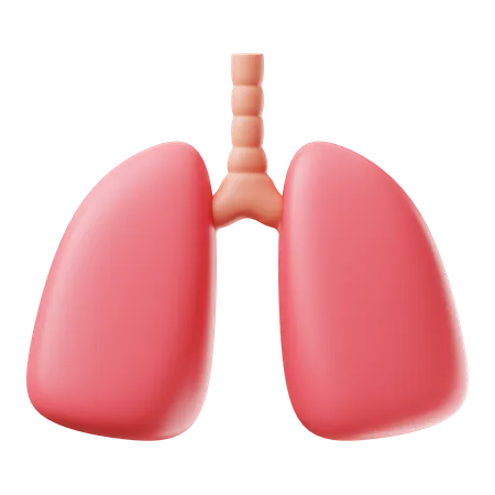 Lung 3 D Illustration 3D Icon