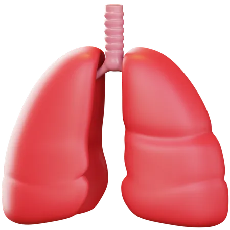 Lung  3D Icon