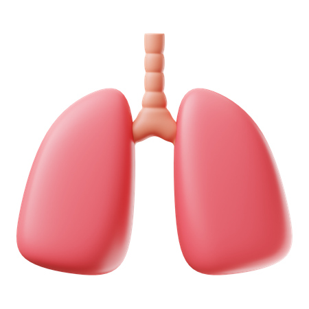 Lung  3D Icon