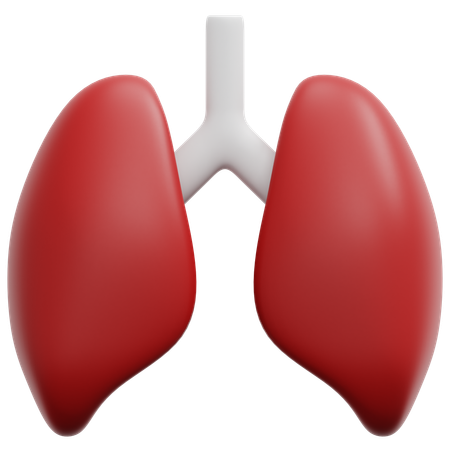 Lung  3D Icon