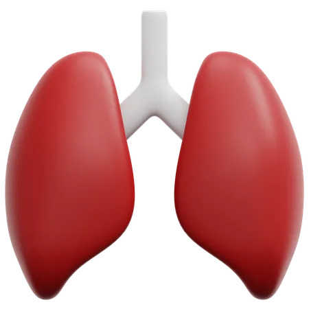 Lung  3D Icon