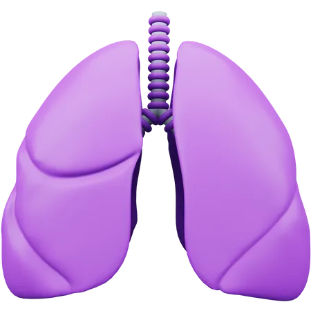 Lung  3D Icon