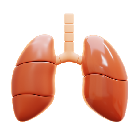 Lung  3D Icon