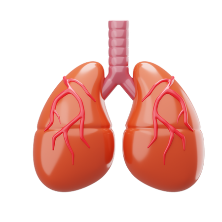 Lung  3D Icon