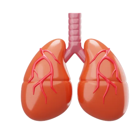 Lung  3D Icon