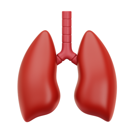 Lung  3D Icon