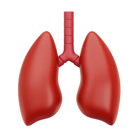 Lung  3D Icon