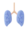 Lung