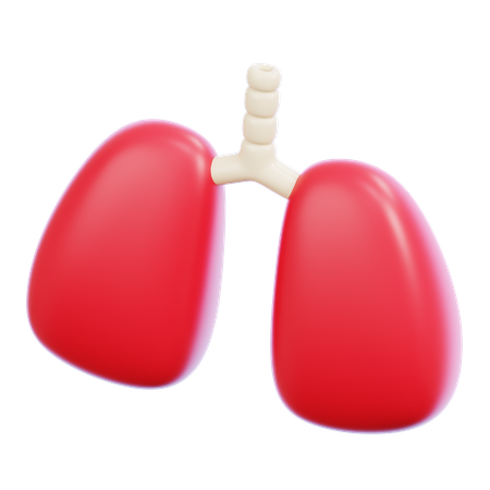 Lung  3D Icon