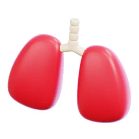 Lung  3D Icon