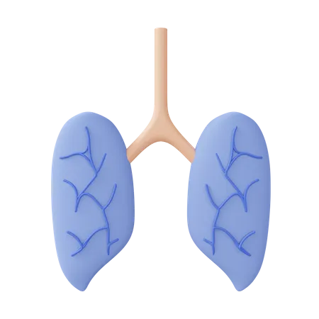 Lung 3 D Icon Illustration 3D Icon