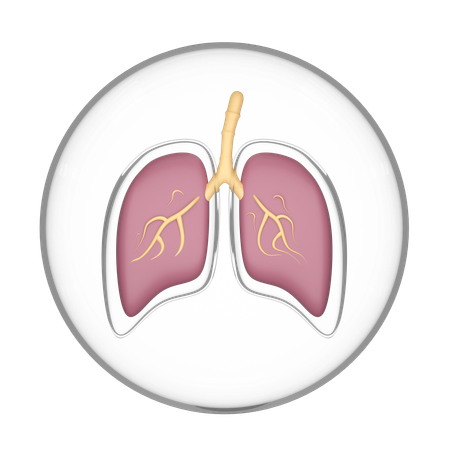 Lung In Glass Dome  3D Icon