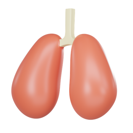 Lung Organ  3D Icon