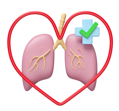 Lung With Heart  3D Icon