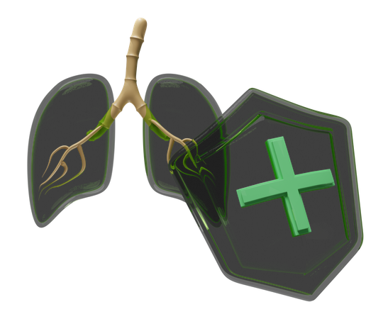 Lung With Shield  3D Icon