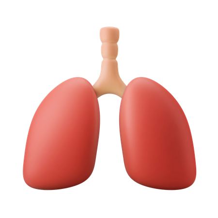 Lungenorgan  3D Icon