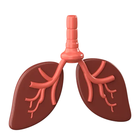 Lungs 3 D Human Organ Icon 3D Icon