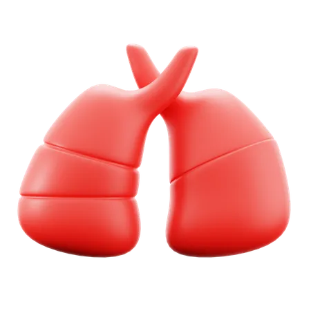 Lung Organ Body Respiratory System Medical Hospital 3 D Icon Illustration Render Design 3D Icon