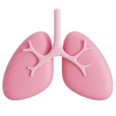 Healthy Lungs Organ 3D Icon
