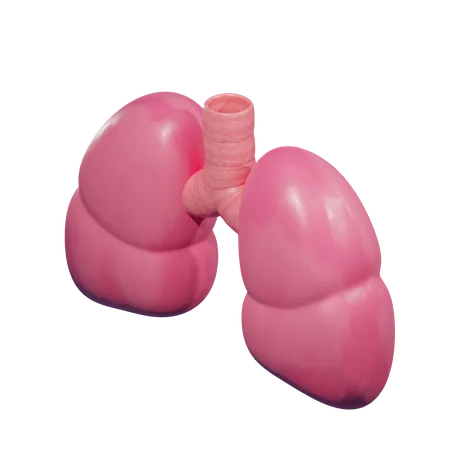 Lungs Medical 3 D Icon 3D Icon
